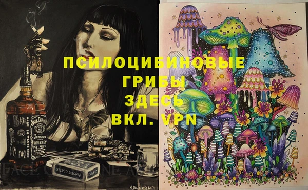 ешки Алексеевка