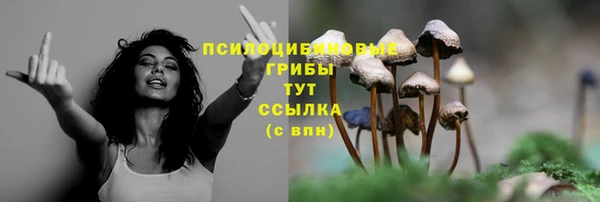 spice Алексин